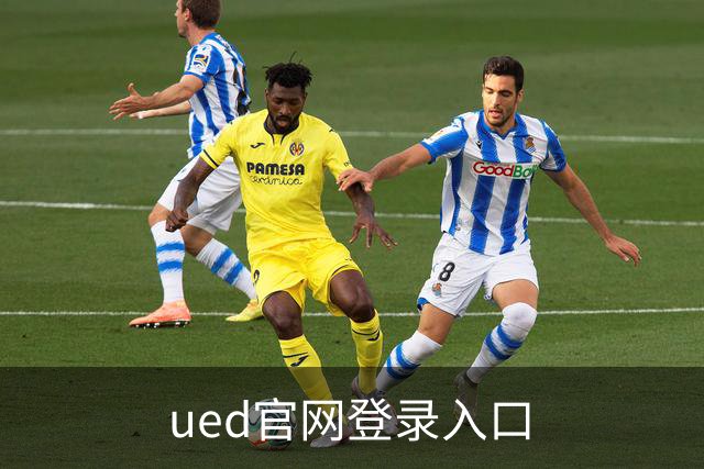 ued官网登录入口公司简介
